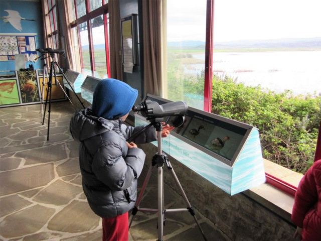 observatorio de aves de la laguna de pitillas